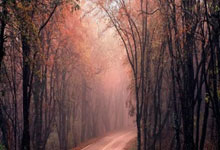 1XBET官网：欧冠：意大利国际米兰队战胜英格兰阿申纳.